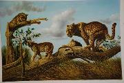 unknow artist Lions 030 France oil painting artist